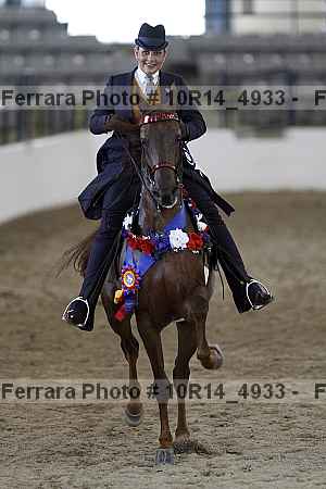 Proof Number 10r14_4933