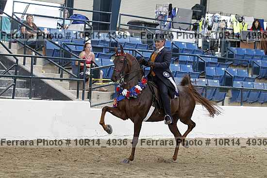 Proof Number 10r14_4936