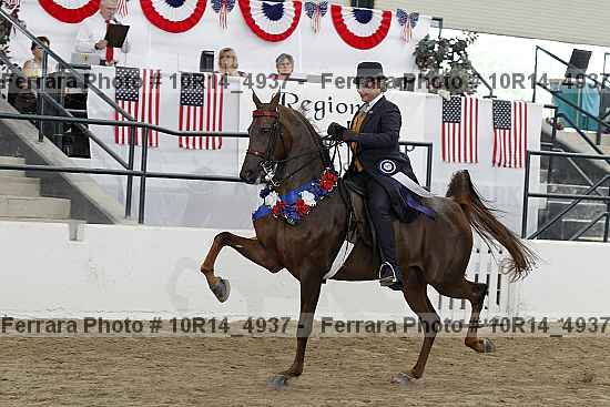 Proof Number 10r14_4937