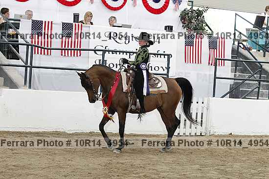 Proof Number 10r14_4954