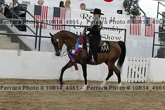 Proof Number 10r14_4961