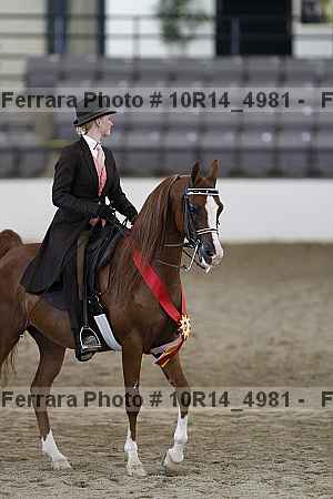Proof Number 10r14_4981