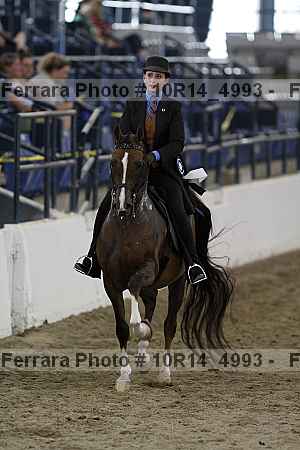 Proof Number 10r14_4993