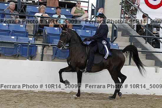 Proof Number 10r14_5009