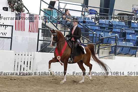 Proof Number 10r14_5019