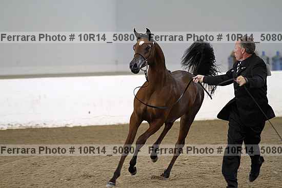Proof Number 10r14_5080