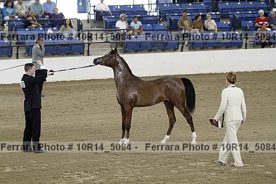 Proof Number 10r14_5084