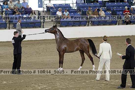 Proof Number 10r14_5085