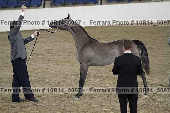 Proof Number 10r14_5097