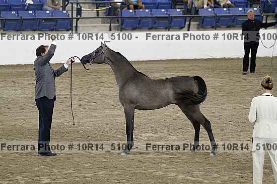 Proof Number 10r14_5100