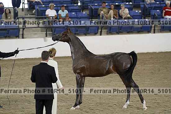 Proof Number 10r14_5101