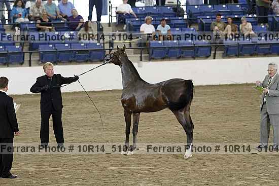Proof Number 10r14_5104