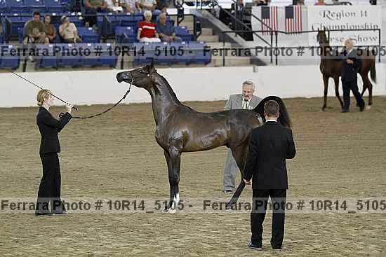 Proof Number 10r14_5105