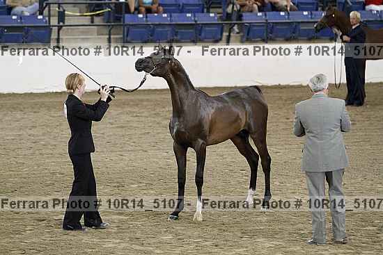 Proof Number 10r14_5107
