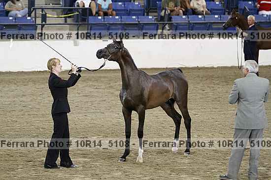 Proof Number 10r14_5108