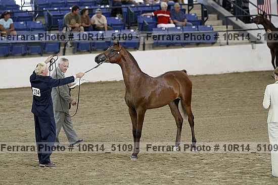 Proof Number 10r14_5109