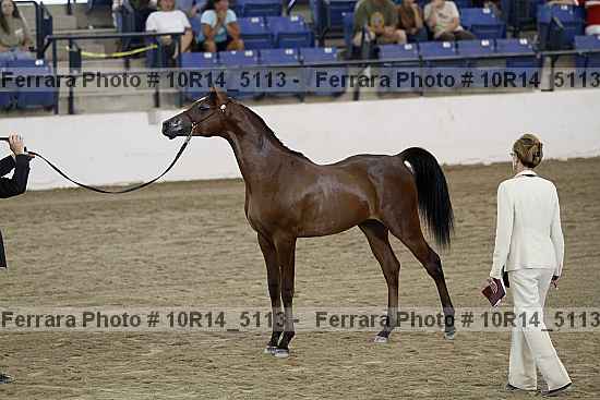 Proof Number 10r14_5113