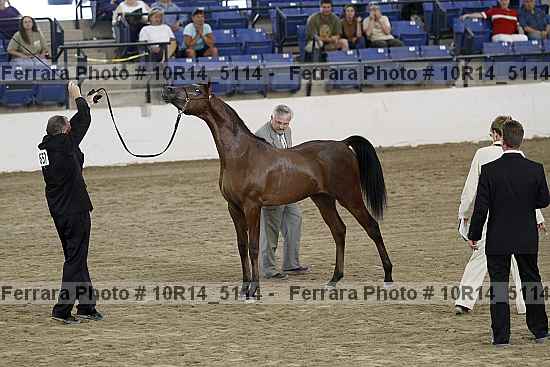Proof Number 10r14_5114