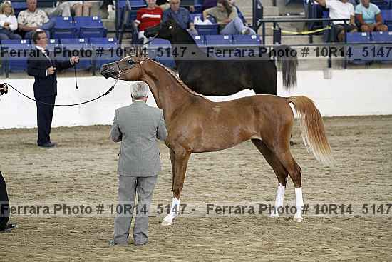 Proof Number 10r14_5147