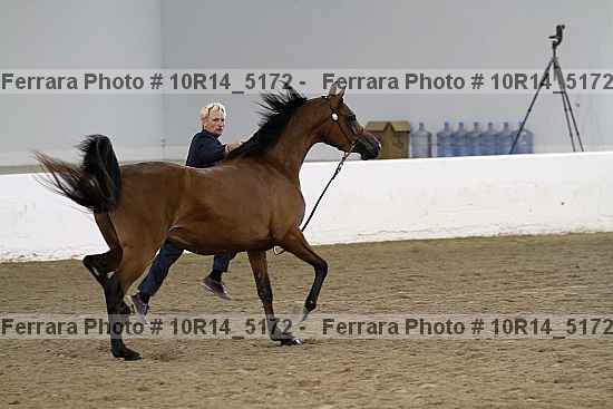 Proof Number 10r14_5172