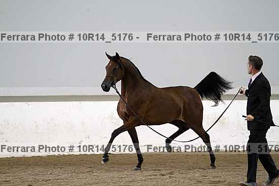 Proof Number 10r14_5176