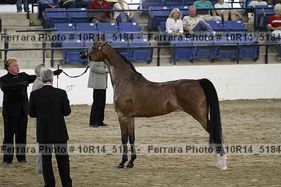 Proof Number 10r14_5184