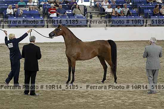 Proof Number 10r14_5185