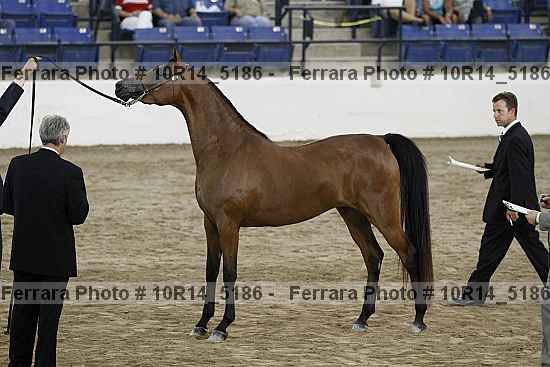 Proof Number 10r14_5186