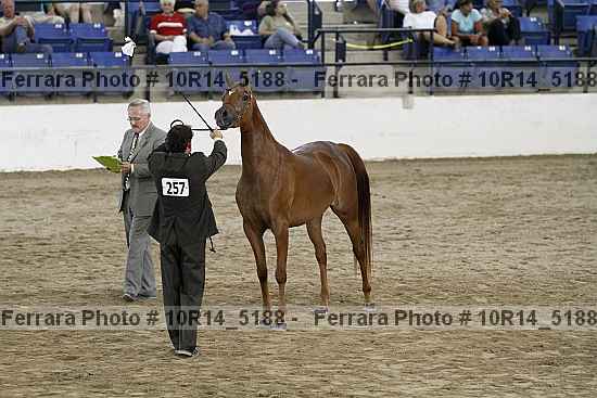 Proof Number 10r14_5188