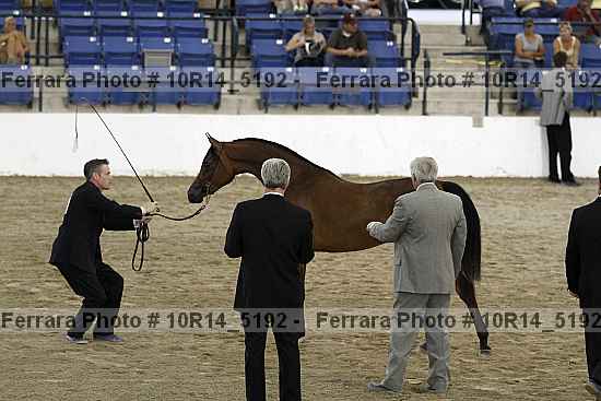 Proof Number 10r14_5192