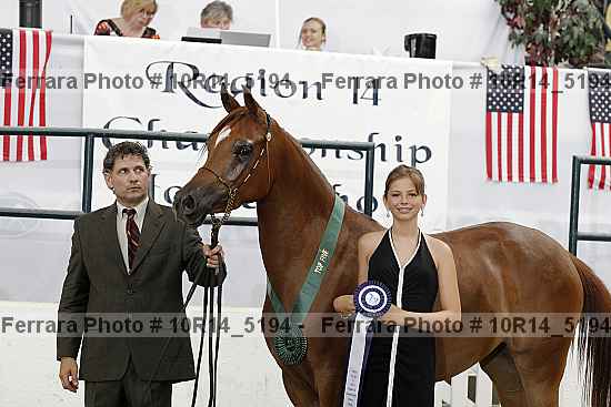 Proof Number 10r14_5194