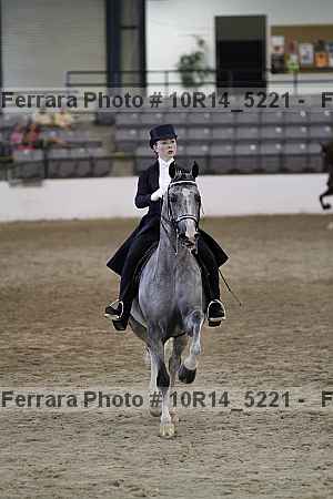 Proof Number 10r14_5221