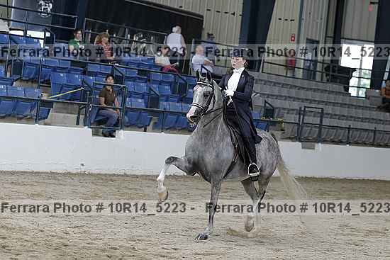 Proof Number 10r14_5223