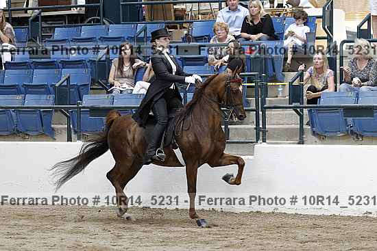 Proof Number 10r14_5231