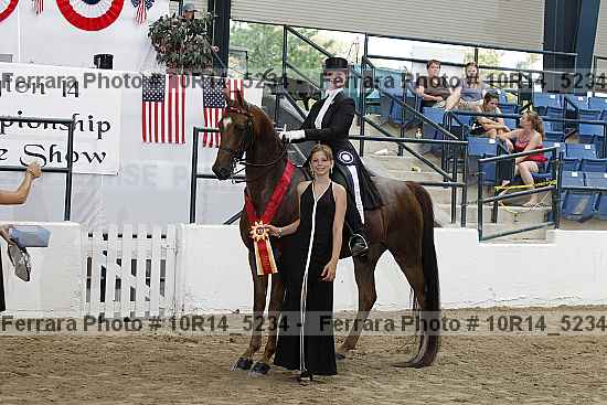 Proof Number 10r14_5234