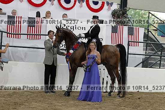 Proof Number 10r14_5237