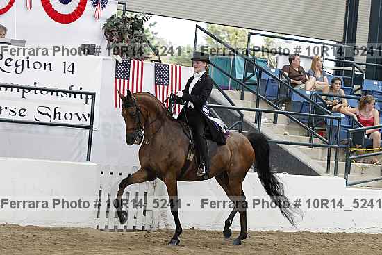Proof Number 10r14_5241