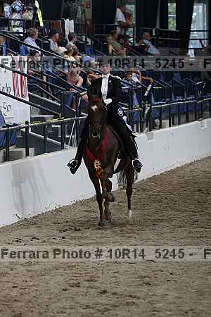 Proof Number 10r14_5245