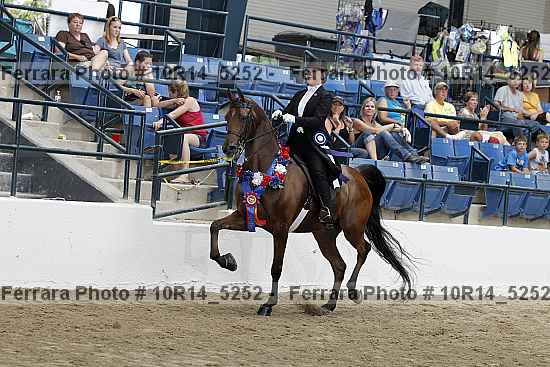 Proof Number 10r14_5252
