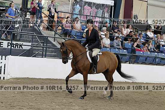 Proof Number 10r14_5257