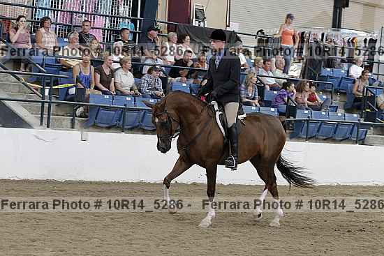 Proof Number 10r14_5286