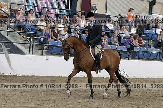 Proof Number 10r14_5288