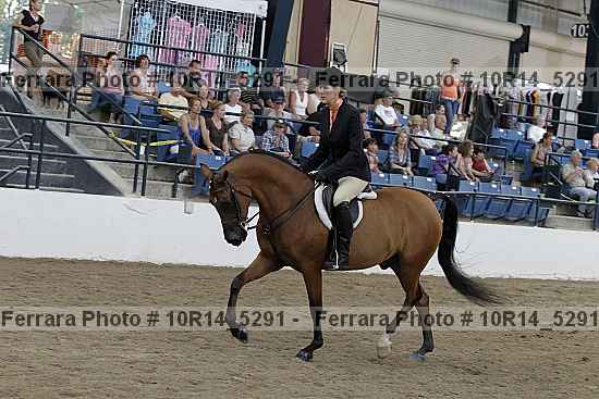 Proof Number 10r14_5291