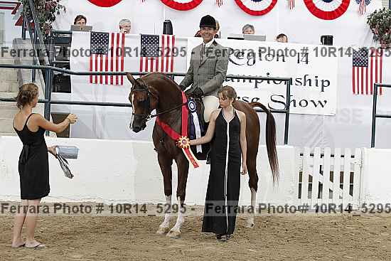 Proof Number 10r14_5295