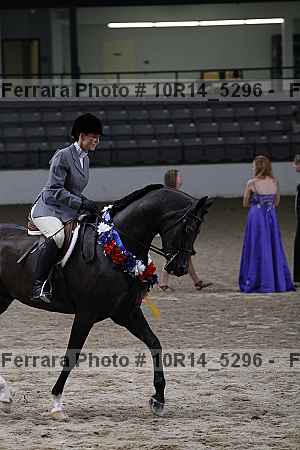 Proof Number 10r14_5296
