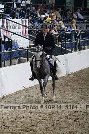 Proof Number 10r14_5301
