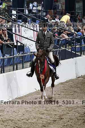 Proof Number 10r14_5303