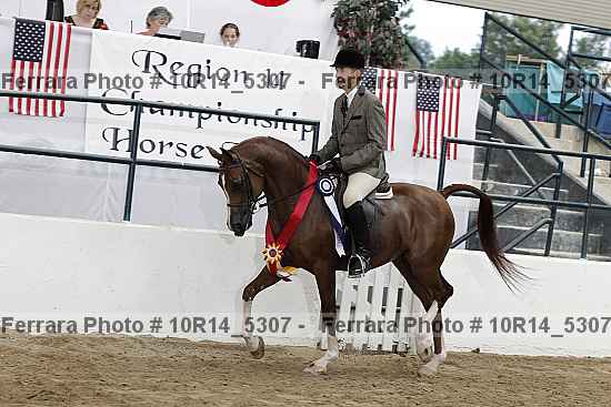 Proof Number 10r14_5307