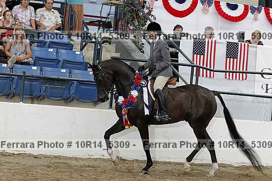 Proof Number 10r14_5309