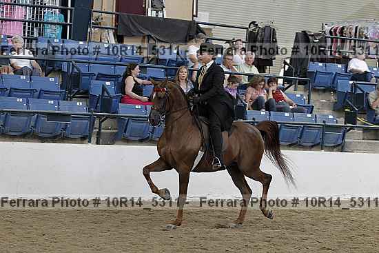Proof Number 10r14_5311